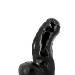 Gode All Black 16.5 X 5.1 Cm -Vestiaire Fetish Soldes gode all black 165 x 51 cm 3