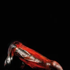 Gode Mammon - Twisted Beast -Vestiaire Fetish Soldes gode mammon twisted beast 3