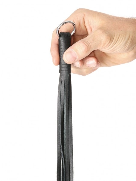 Autres Petit Martinet 4 Autres Petit Martinet – Image 2