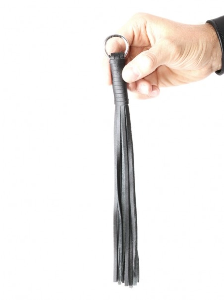 Autres Petit Martinet 5 Autres Petit Martinet – Image 3