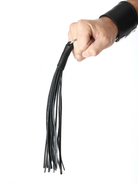 Autres Petit Martinet 3 Autres Petit Martinet